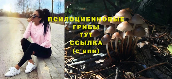 МДПВ Алзамай