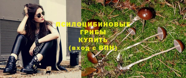 прущие крисы Алексин