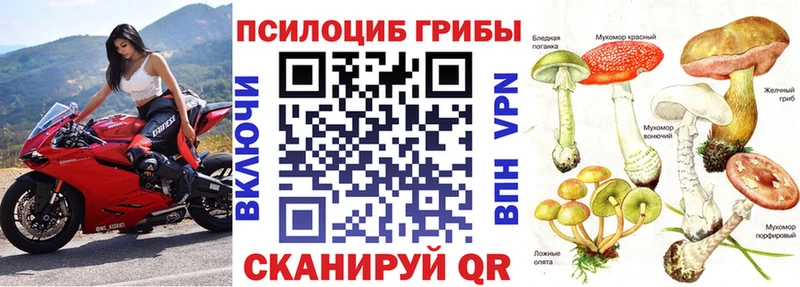 Галлюциногенные грибы Psilocybine cubensis  мега как войти  Зверево 